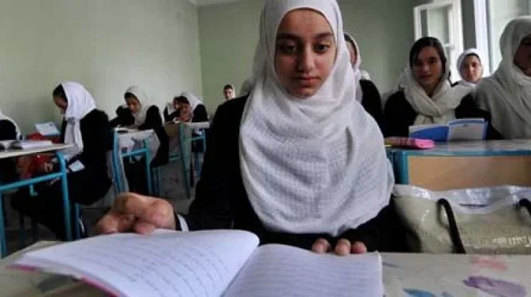 Konstitusi Mesir Menjamin Hak Pendidikan Gratis bagi Warganya
