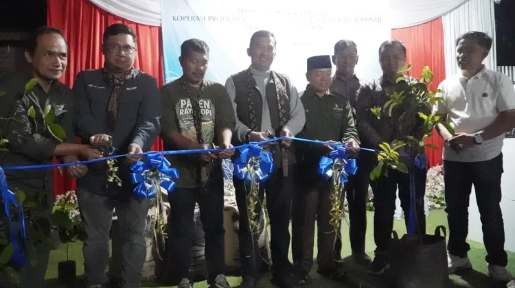 Kopi Fine Robusta asal Kerinci Masuk Pasar Tiongkok