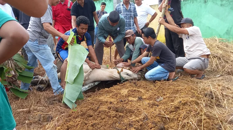 Disnak Sarolangun Imbau jaga Higienis & Sanitasi Tempat Pemotongan Hewan Kurban