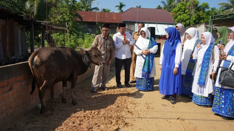 BKMT Jambi dan Posyandu Serahkan Hewan Kurban di Desa Tangkit dan Kel Kasang