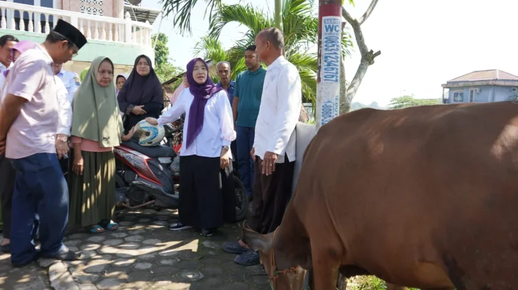 Hewan Kurban dari BKMT Disambut Baik Warga
