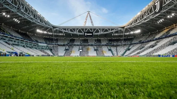 Macam-Macam Rumput yang Digunakan untuk Lapangan Sepak Bola