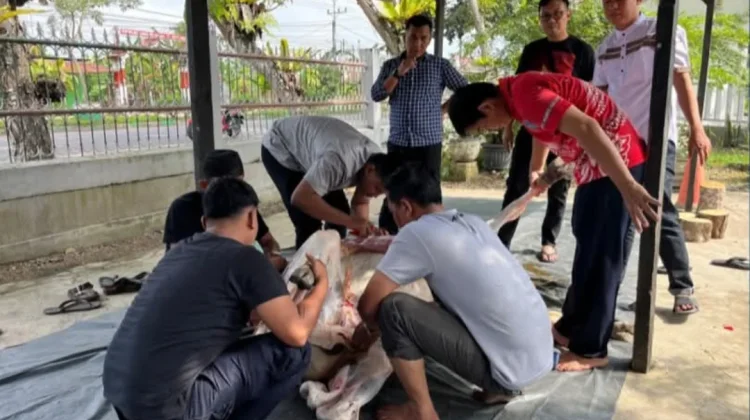 Idul Adha, Lapas Muara Bulian Bagikan Daging 4 Sapi Kurban