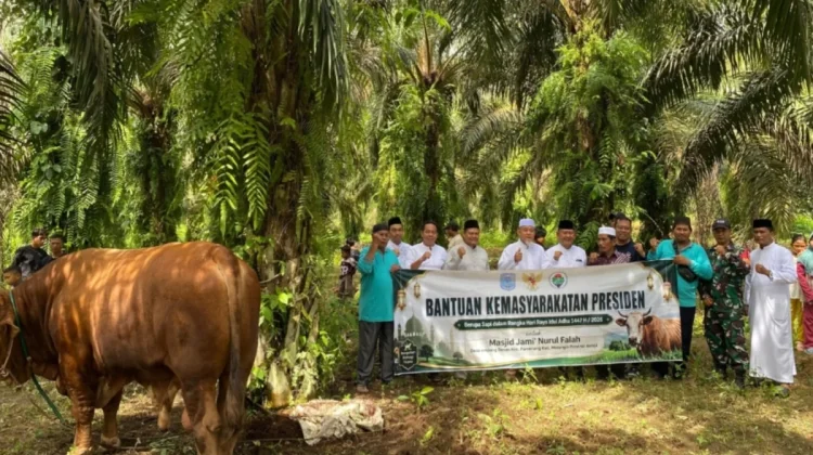 Wabup A. Khafidh Serahkan Sapi Kurban Bantuan Presiden di Empang Benao