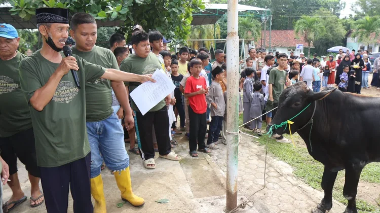 Iduladha, PHR Zona 1 Salurkan Puluhan Hewan Kurban di Sumatera