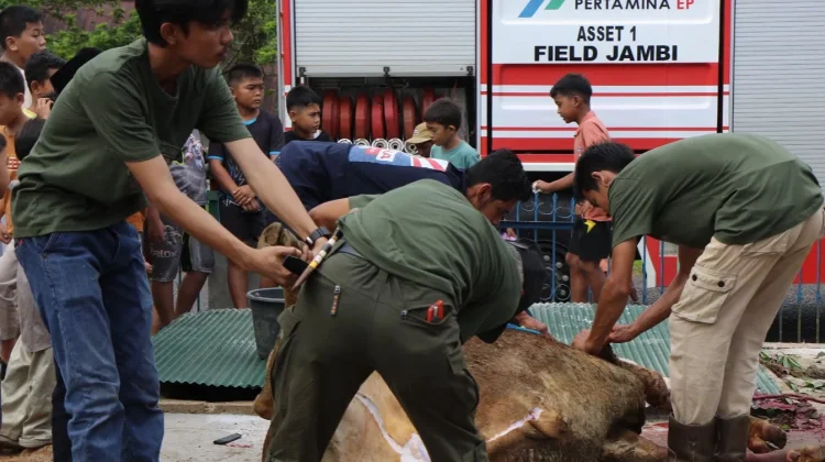 Pekerja Migas dan Warga Jambi Gotong Royong Sembelih Hewan Kurban