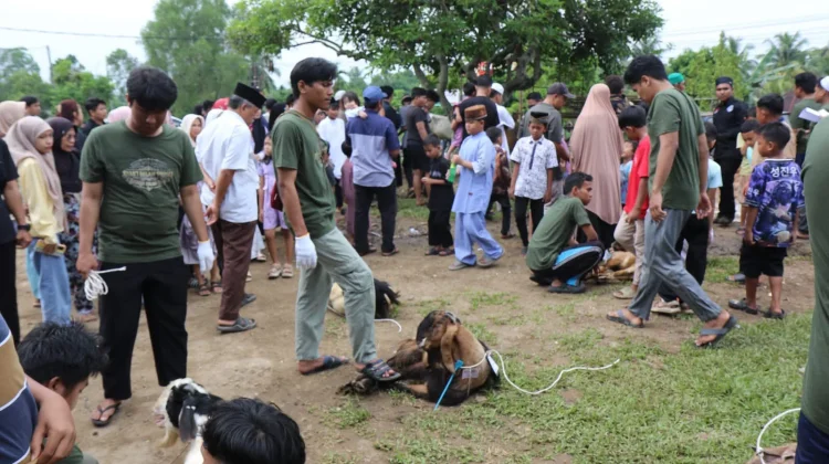 Momentum Idul Adha, PHR Zona 1 Tebar Manfaat untuk Masyarakat