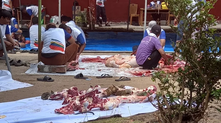 Disnak Sarolangun Belum Temukan Ada Penyakit pasca Pemotongan Hewan Kurban