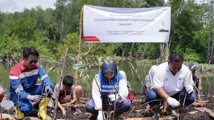 PALUH ASRI: Transformasi Dapur Arang Menjadi Kawasan Kaya Keanekaragaman Hayati