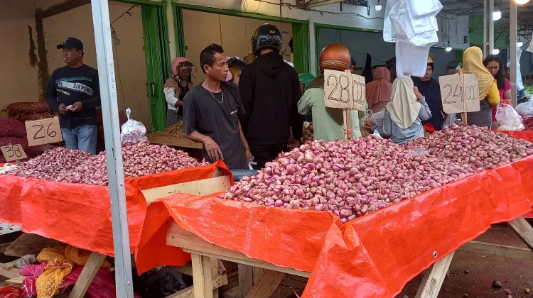 Tidak Perlu Khawatir, Petugas Sensus Ekonomi Dilengkapi Atribut Resmi