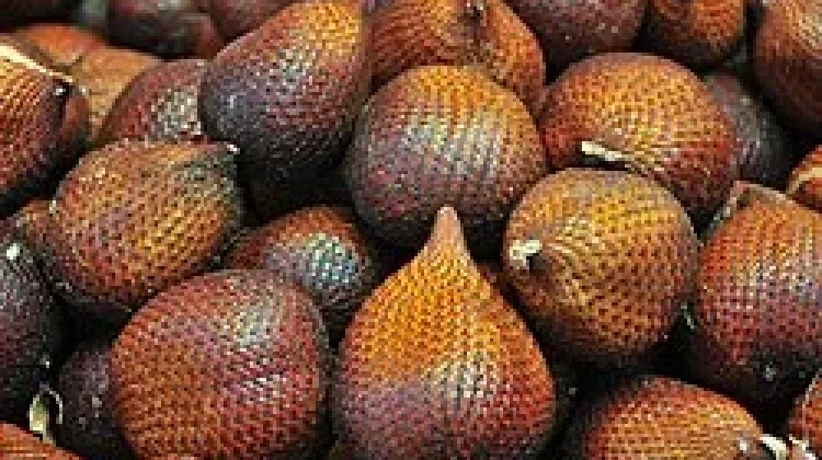 Manfaat Buah Salak Baik Dikonsumsi Ibu Hamil