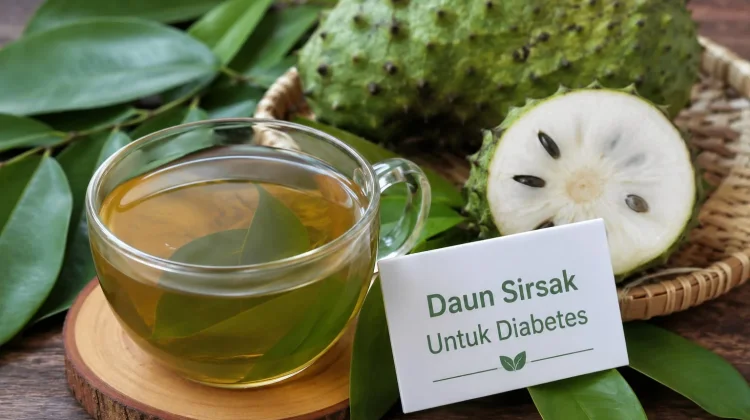Daun Sirsak dalam Membantu Mengendalikan Gula Darah