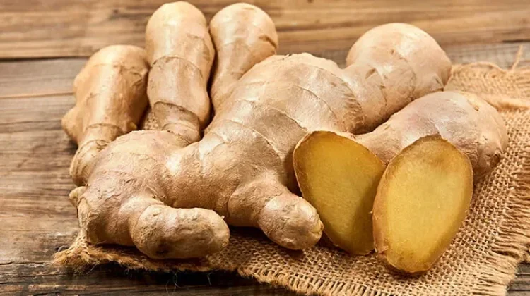 Herbal untuk Asam Lambung yang Menyakitkan
