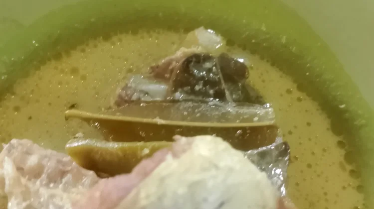 Gulai Ikan Baung Santan Putih