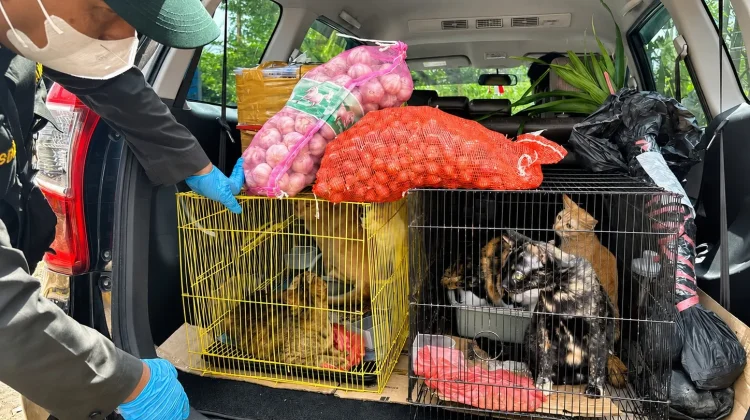Karantina Jambi Amankan Komoditas Hewan dan Tumbuhan dari Kepri