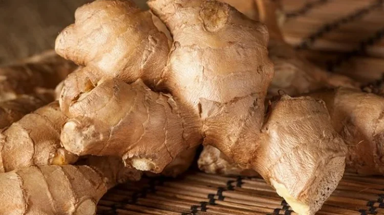 Herbal yang Baik untuk Penderita Hipertensi