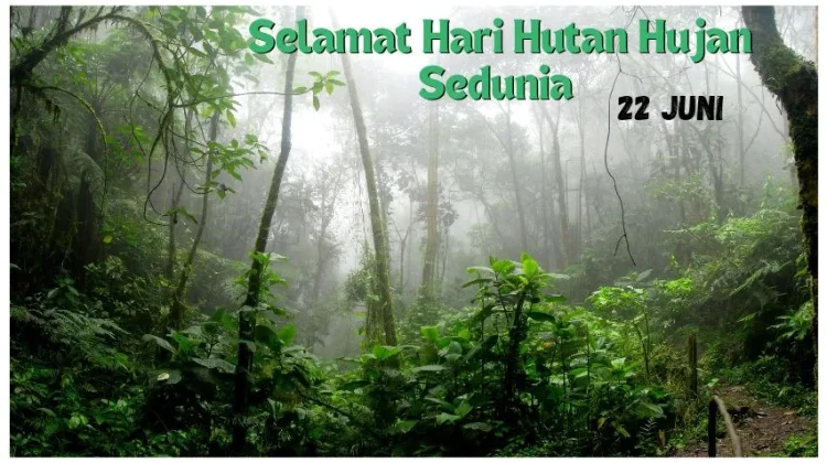Hari Hutan Hujan Sedunia