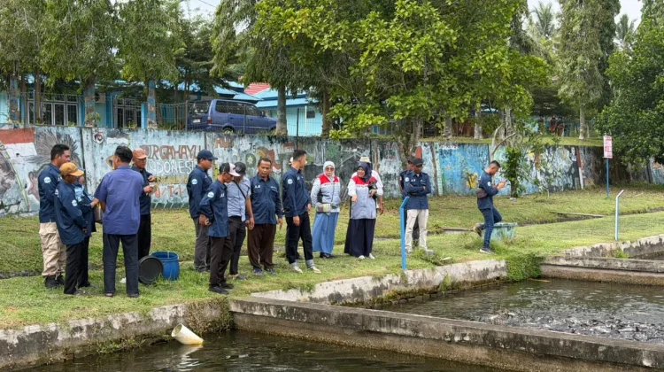Desa Lopak Alai Jambi Siap Jadi Sentra Pembibitan Patin