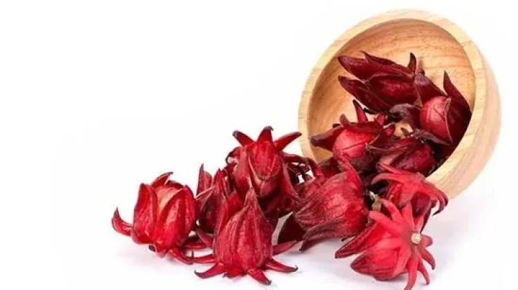 Bunga Rosella untuk Kesehatan