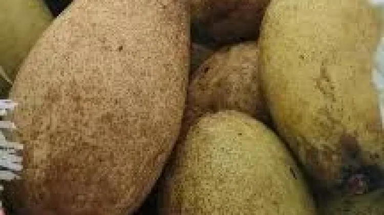 Menjelajahi Keunikan Buah Wanyi asal Kalimantan