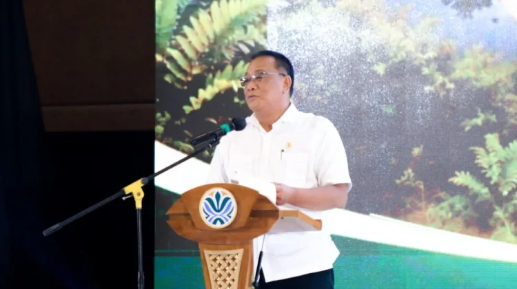 Menteri LH: Tak Boleh Ada Kebakaran di Wilayah Konsesi