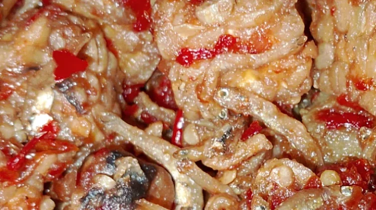 Sambal Tempe Ikan Teri Halus Lebih Berasa