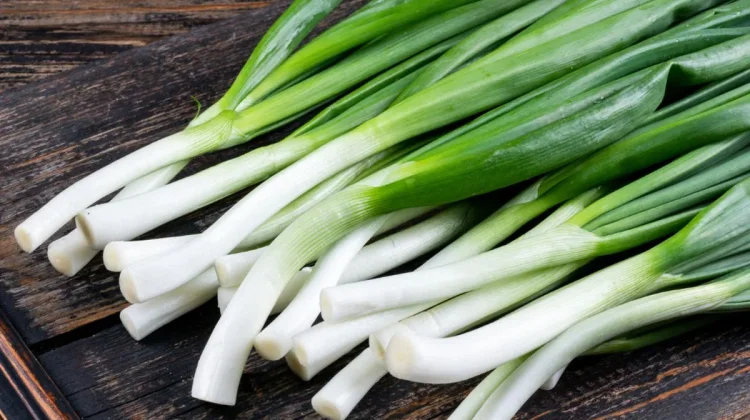 Khasiat Air Rebusan Daun Bawang Campur Madu