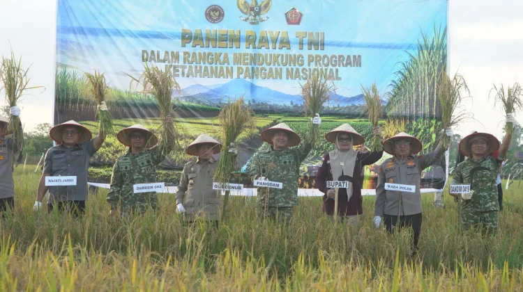 Kegiatan Panen Raya Padi Serentak, Memperkuat Sektor Pertanian Nasional