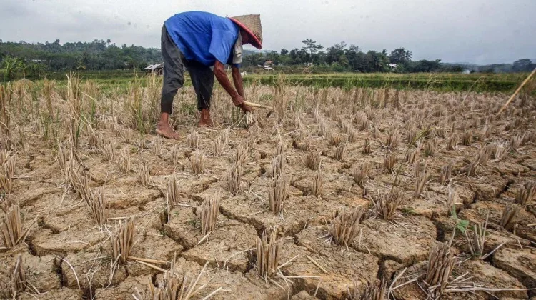 PPL Muara Sebo Ilir Siapkan Mitigasi Hadapi Musim Kemarau