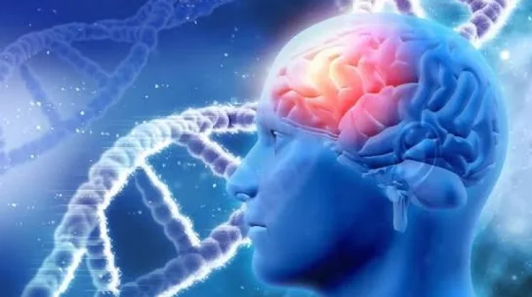 Usia Paling Rentan Penyakit Neurologis