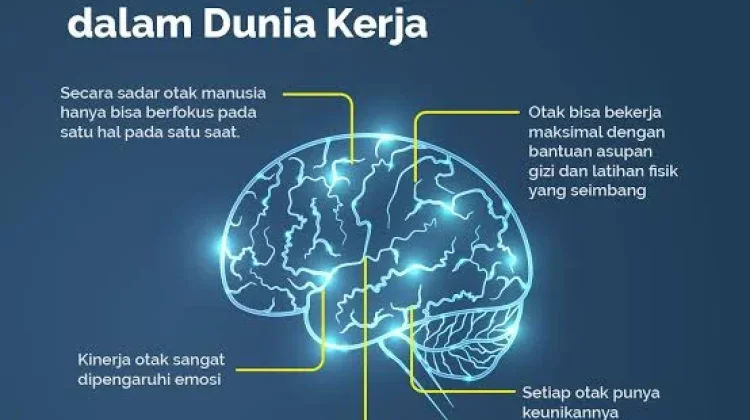 Optimalisasi Kemampuan Otak Manusia