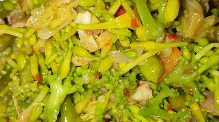Resep tumis pedas kembang kates