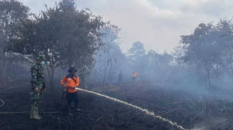Personel, Peralatan dan Logistik BPBD Sarolangun Siap Hadapi Ancaman Karhutla