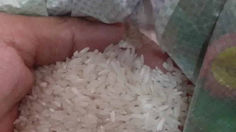 Program BMAAS Siap Diterapkan di Tanjab Timur, Produktivitas Padi Ditarget Naik