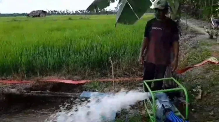 Pacu Irigasi Batanghari Petakan 1.883 Hektare Sawah Rawan Kekeringan