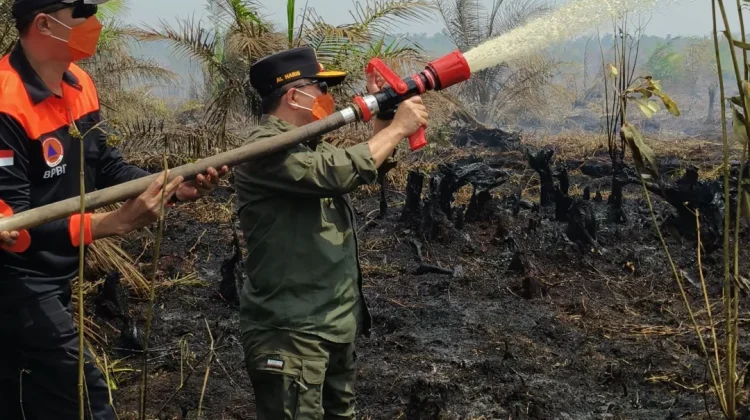 Gubernur Al Haris: Api Sudah 3 Hari, Gambut Sulit Dipadamkan