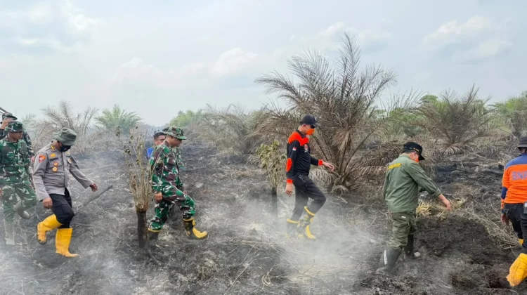 Kapolda Jambi Pastikan Penanganan Karhutla di Sungai Gelam Terus Dilakukan