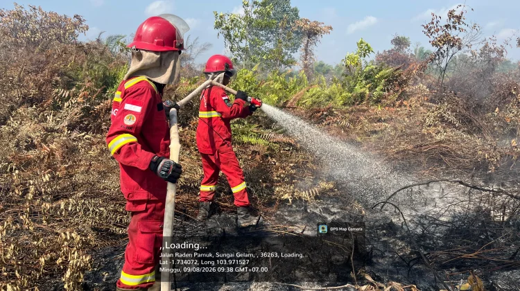 Upaya Pemadaman Kebakaran Lahan Gambut di Sungai Gelam Memasuki Hari Kelima