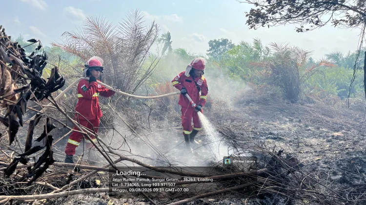 Angin Kencang dan Sumber Air Terbatas Hambat Pemadaman Karhutla Sungai Gelam