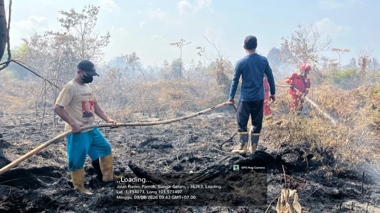 Karhutla Berulang, KKI Warsi Dorong Penegakan Hukum terhadap Pembakar Lahan
