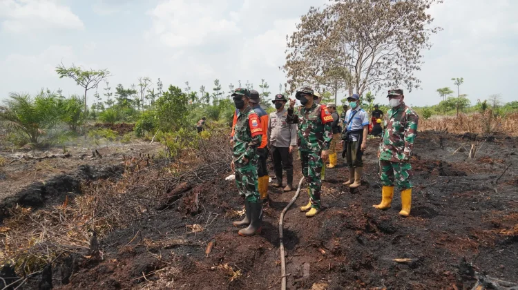 Danrem 042/Gapu Terjun Langsung Padamkan Karhutla di Desa Air Merah