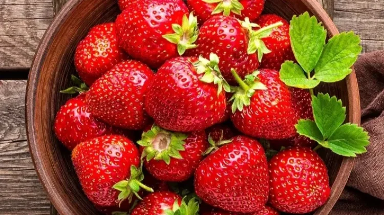 Cara Menyimpan Strawberry agar Tidak Cepat Busuk