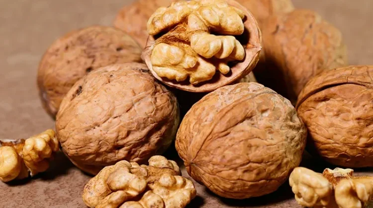 Makanan Sehat yang Membantu Meredakan Gejala Depresi