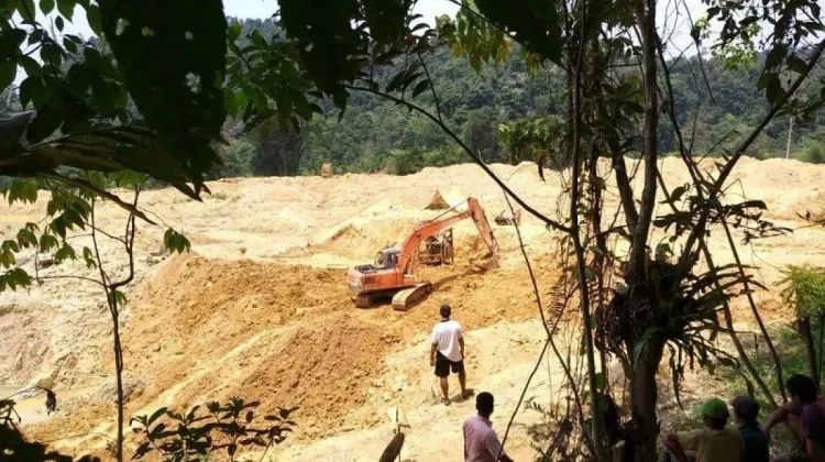 Darurat Lahan di Jambi Terdampak Penambangan Emas tanpa Izin