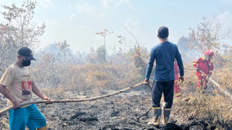 Satu Titik Karhutla Masih Ditangani di Muaro Jambi