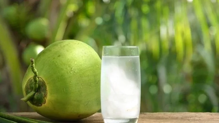Khasiat Rutin Minum Air Kelapa untuk Menjaga Berat Badan