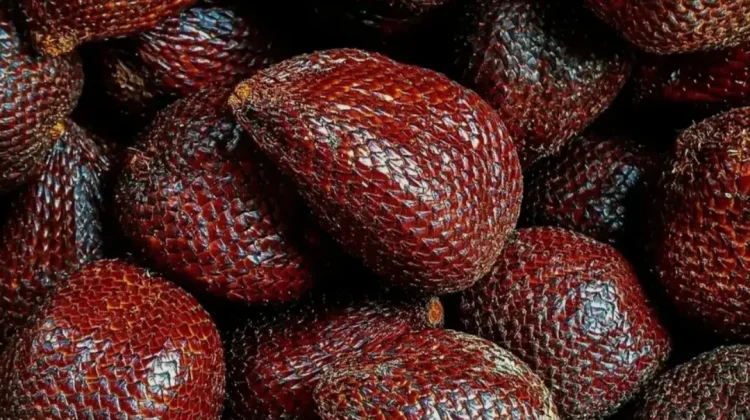 Salak Mengandung Serat bisa membantu Pencernaan
