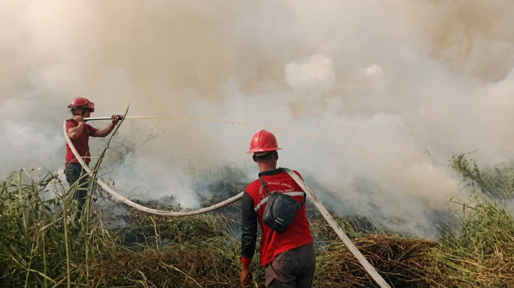 Tim TRC Berhasil Padamkan Api di Desa Sekumbung Selama 2,5 Jam