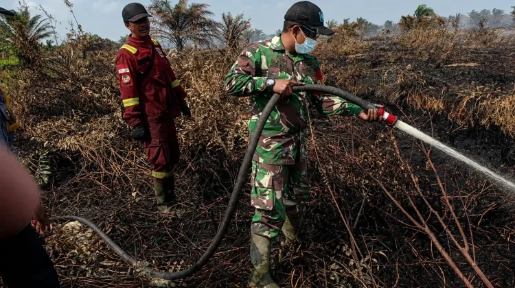 TNI-Polri dan Tim Gabungan Perkuat Penanganan Karhutla di Londrang