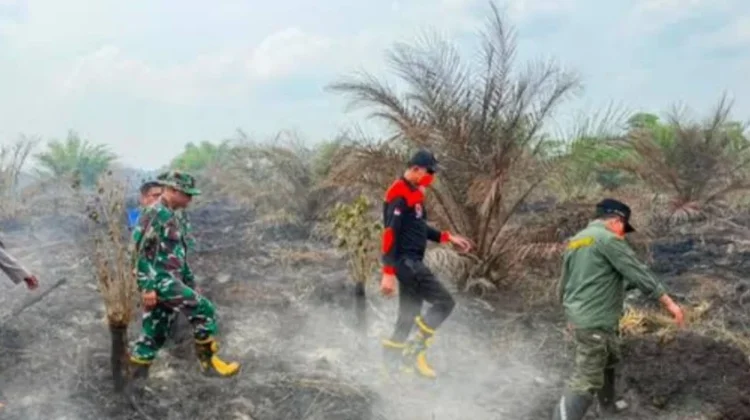 Pemerintah Sediakan Alat Berat untuk Cegah Masyarakat Buka Lahan dengan Membakar